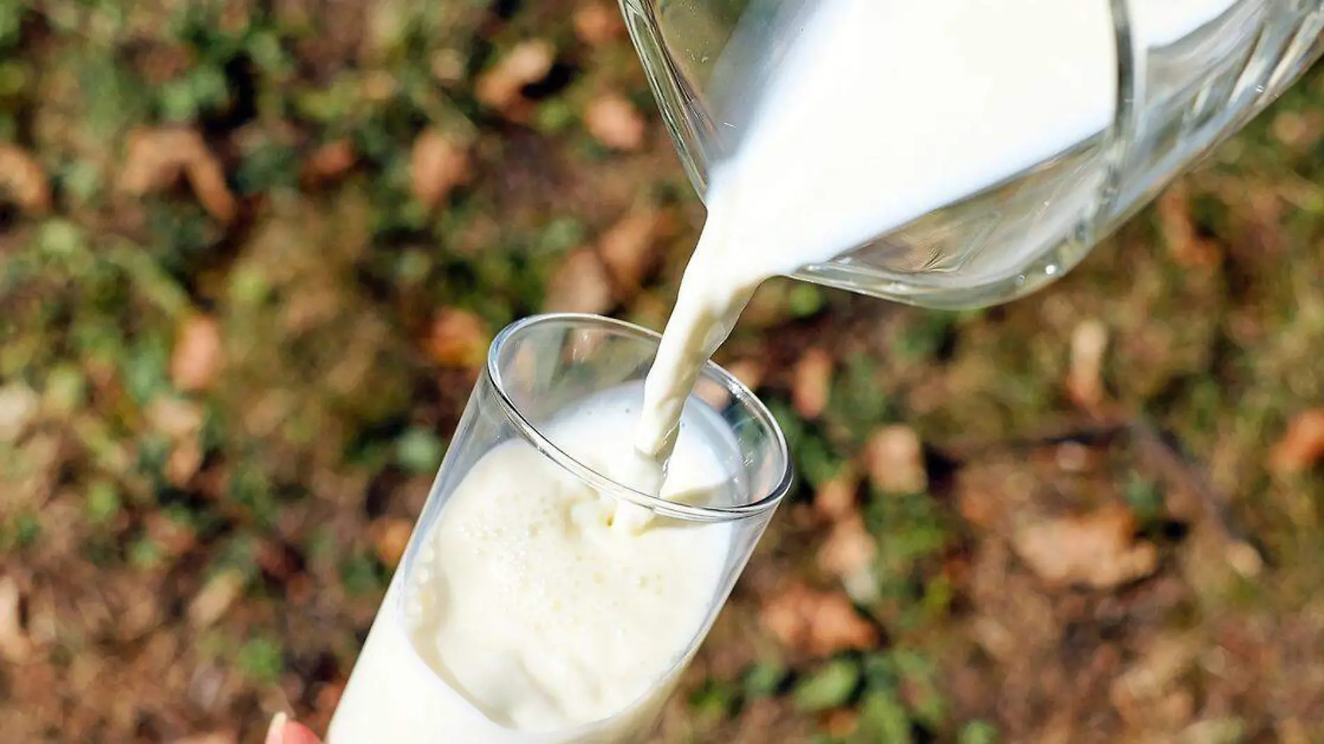 Durante la niñez y adolescencia es necesario tomar leche, por encima de otras bebidas